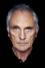 photo Terence Stamp