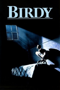 poster Birdy  (1984)