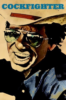 poster Cockfighter  (1974)