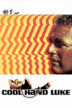 poster Cool Hand Luke  (1967)