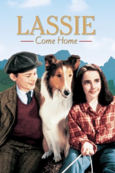 poster Lassie Come Home  (1943)