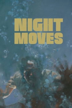 poster Night Moves  (1975)