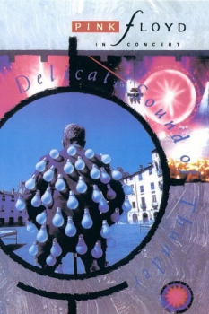 poster Pink Floyd: Delicate Sound of Thunder  (1989)