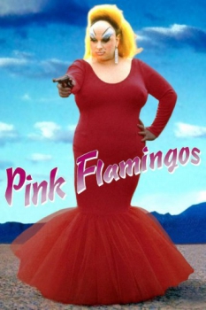 poster Pink Flamingos  (1972)