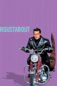 poster Roustabout  (1964)