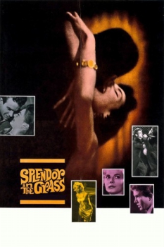poster Splendor in the Grass  (1961)