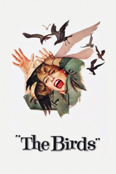 poster The Birds  (1963)