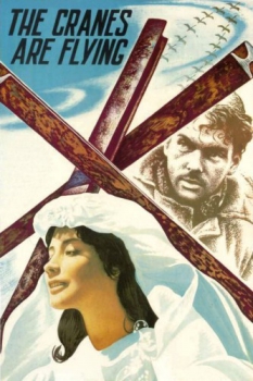 poster The Cranes Are Flying  (1957)