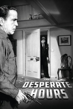 poster The Desperate Hours  (1955)