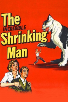 poster The Incredible Shrinking Man  (1957)