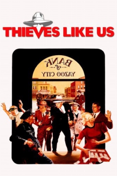 poster Thieves Like Us  (1974)