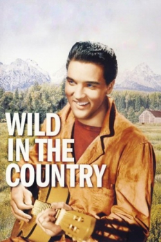 poster Wild in the Country  (1961)