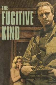 poster The Fugitive Kind  (1960)